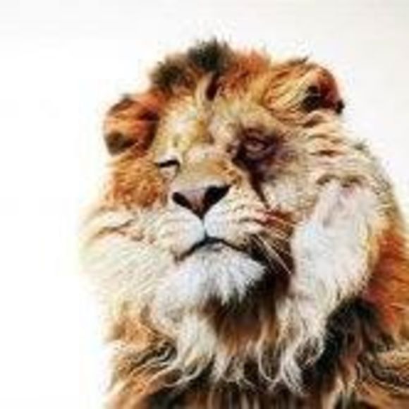 Meet your Posher, Alex - Picture 1 of 1